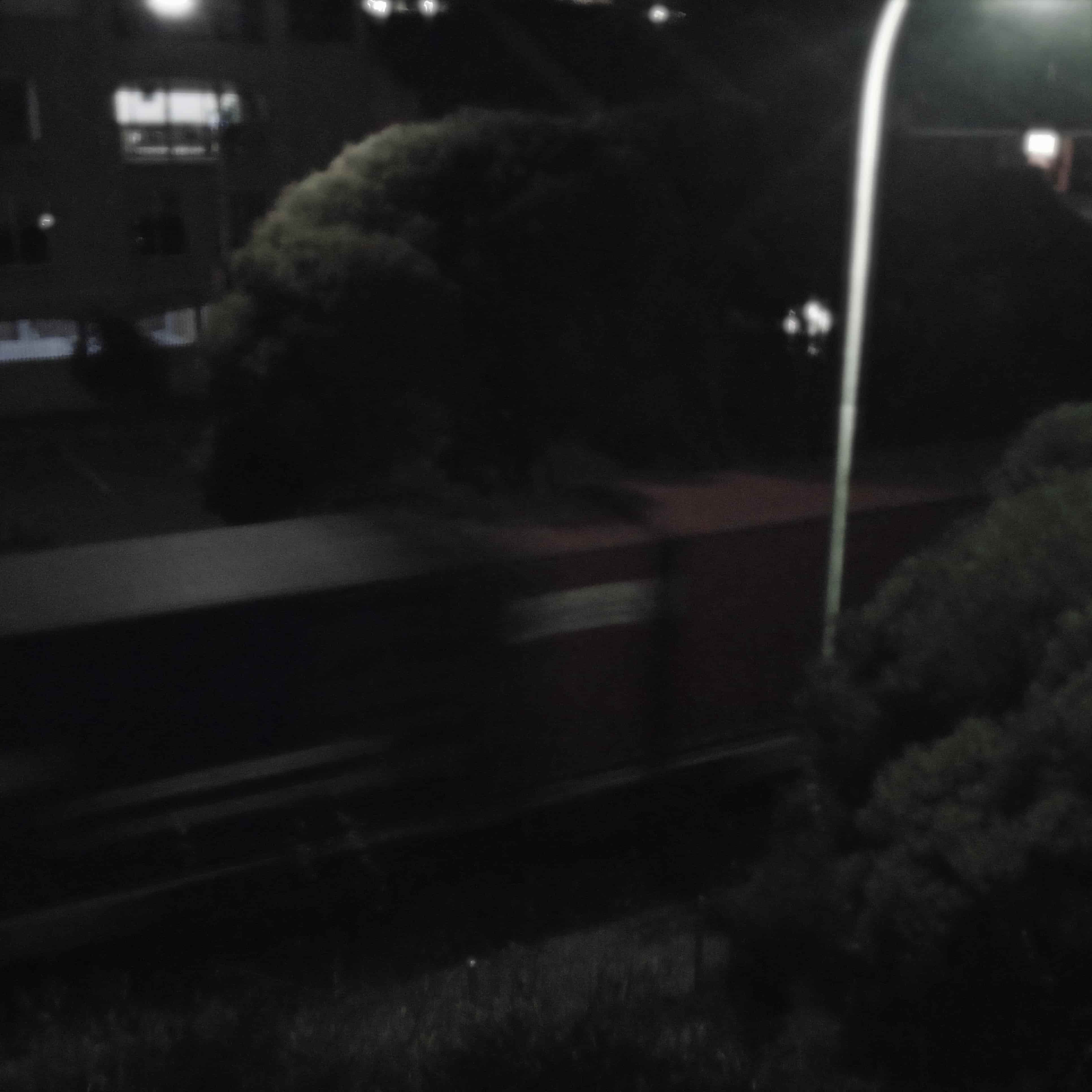 a cargo train caught in movement between two trees, the world dark around them