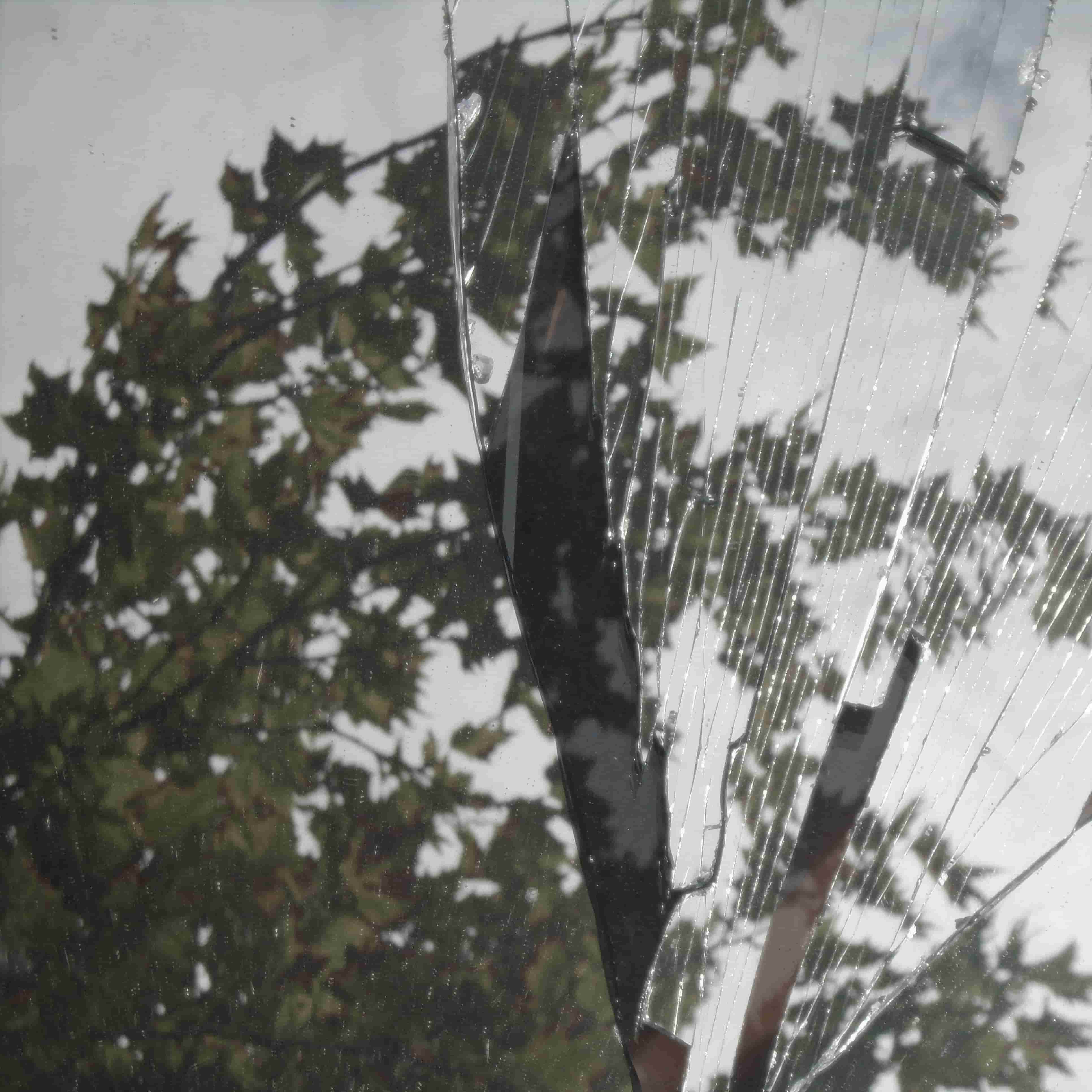 a mirror with cracks reflecting a tree