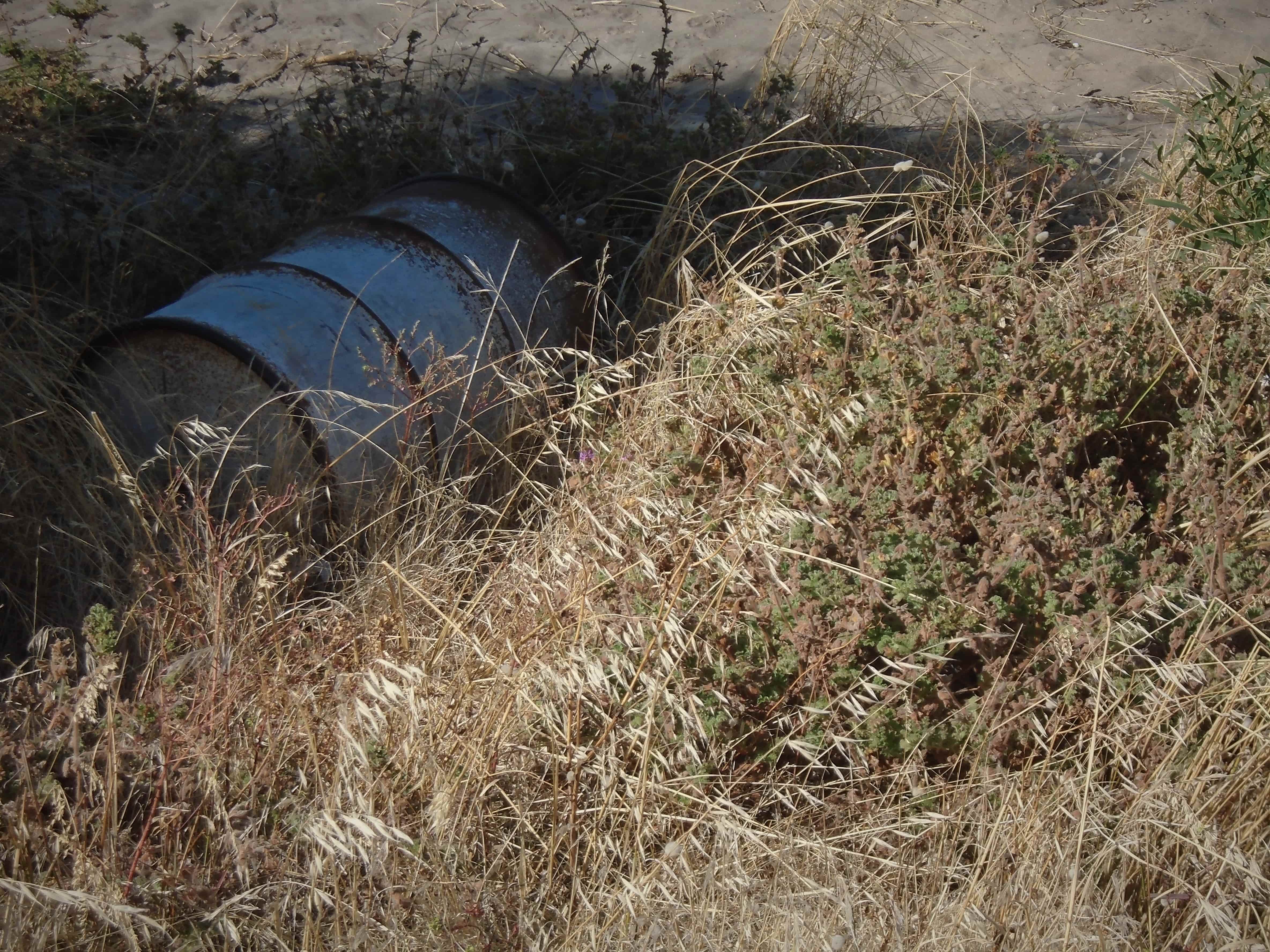 a rusted, metal barrel on its side surrounded by overgrown, beige grass